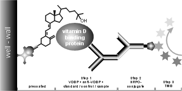 Assay scheme