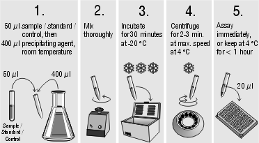 Sample preparation